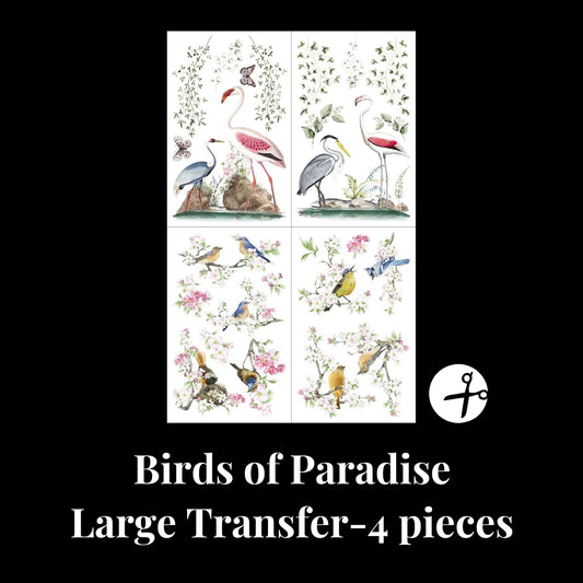 Birds of Paradise
