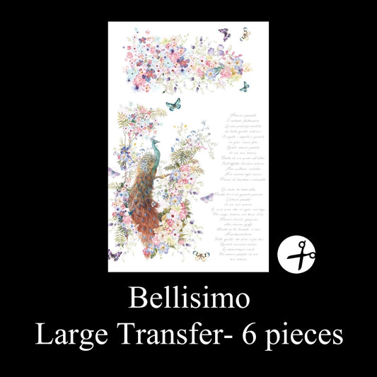 Bellissimo