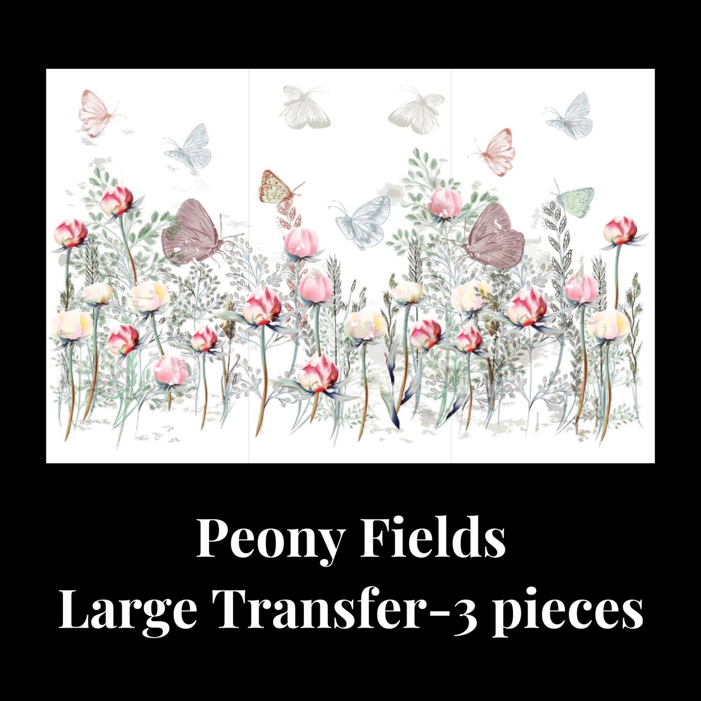 Peony Fields