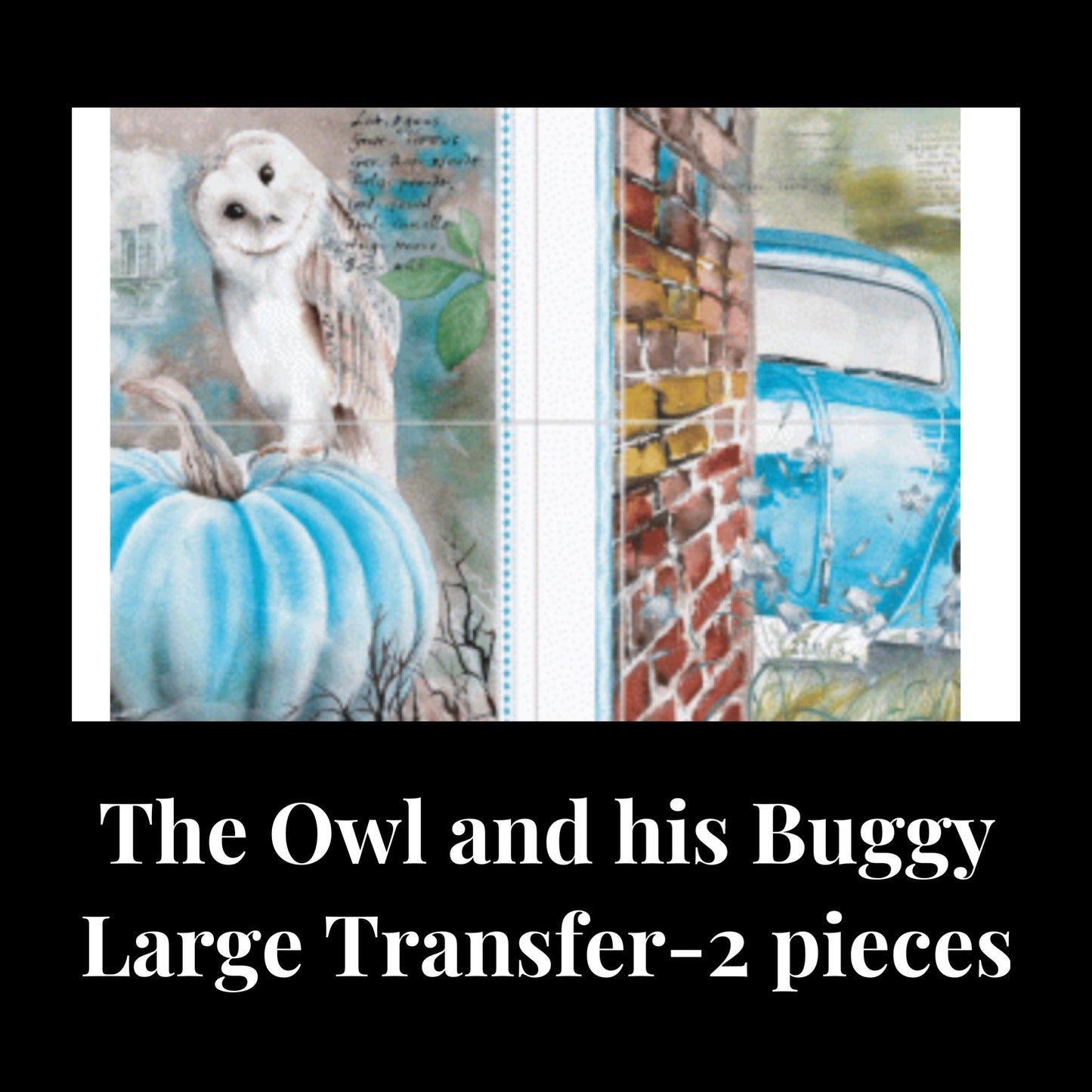 The Owl and his Buggy
