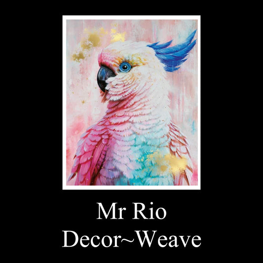Mr Rio
